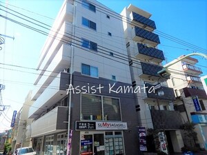 フラット千鳥