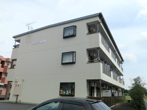 リンピア山川