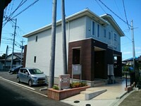 サツキ　アザレア