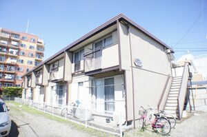 ドエル 葵