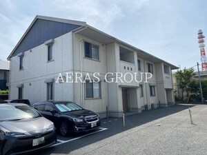 ルッコラ