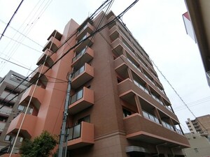 エクセレント・フジ