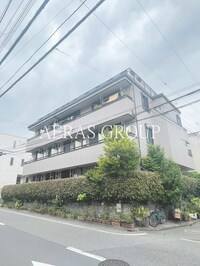 グレースパピヨン