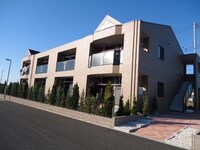 ゴールドクローバー