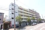 エヴァ・タウン海運