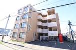 ビッグバーンズマンション八軒Ⅱ