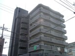クレストサンシェル