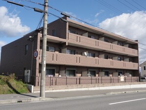 グリーンフォレスト