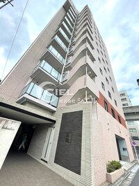 ステラ北進