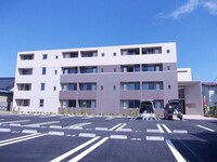 フォレストカワセミ