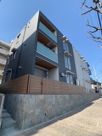 Sansevieria　夏原