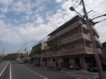アンピエスぜん