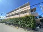 アンプルールフェールフリージア