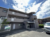 グリーンエクセル梅ノ木