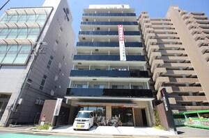 ESTRELA大楠