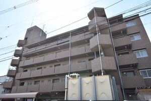 ノースフライト