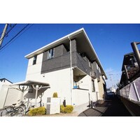 エーデルワイズ