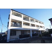 ノースチェスナット