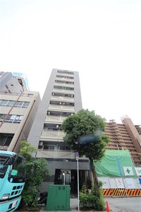 CITY DWELL SKY TORTOISE