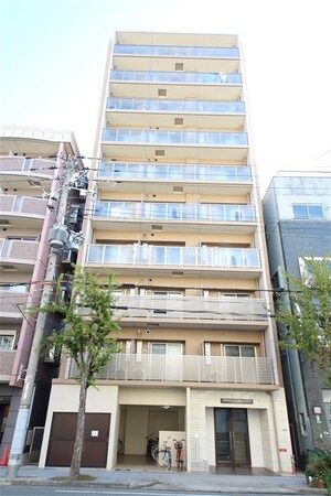 LIVIAZ NAMBA LUCE
