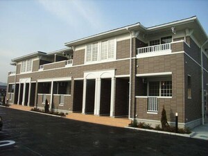 ストリート秋桜