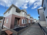 ピュア　ルピナス