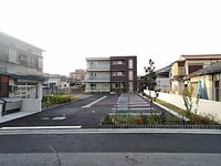 CREST K