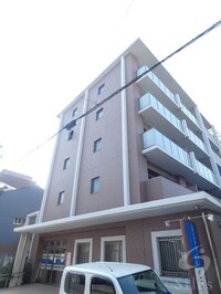 セントハイネリア