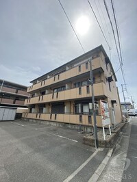 サザングレイス