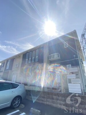 プリムラ　TK01