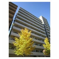 東急ドエルアルス音羽Ⅱ