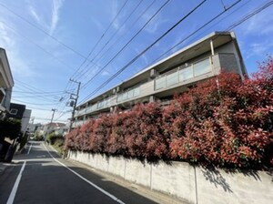 ＨＩＬＬ　ＴＯＰ　ＫＯＵＹＡＭＡ