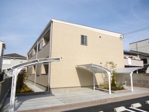 フリージア