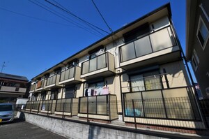 コニファー