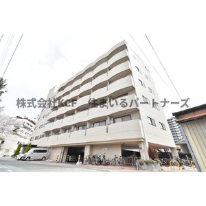 プロビデンス花畑