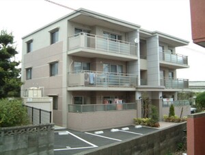 コンフォート曰佐