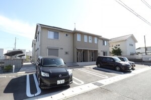 ステラ