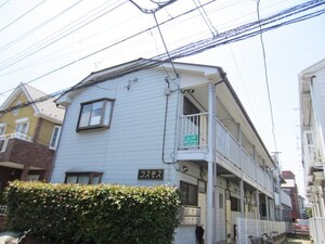 コスモス