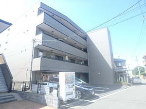 セルカリーオU