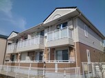 ゴールドクレスト