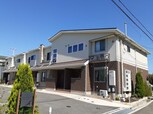 グレイス　リーフ　葵