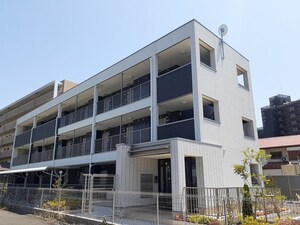 パンプキン　クィーン