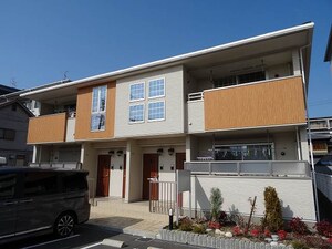 エルベラン　ソラ