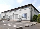 クローバー　コリーヌ