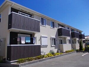 オリーブI
