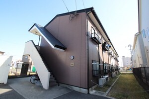 アムールもみの木