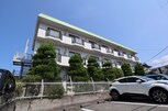 レディース金剛