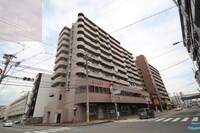 グランドール杉の木