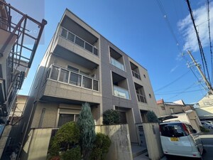 マメゾンミュゲ