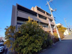 ウィステリア